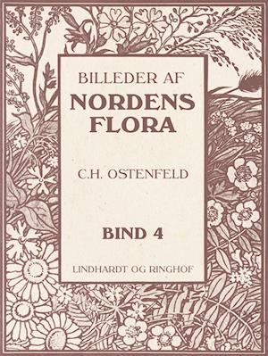 Billeder af Nordens flora. Bind 4