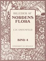 Billeder af Nordens flora. Bind 4