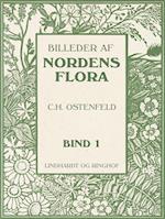 Billeder af Nordens flora. Bind 1