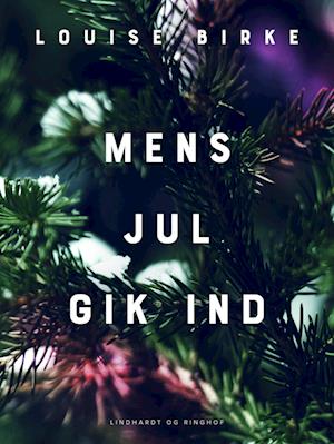 Mens jul gik ind