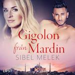 Gigolon från Mardin - erotisk novell