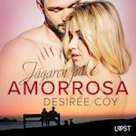 Jägaren på AmorRosa - erotisk romance