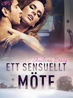 Ett sensuellt möte - erotisk novell