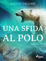 Una sfida al Polo