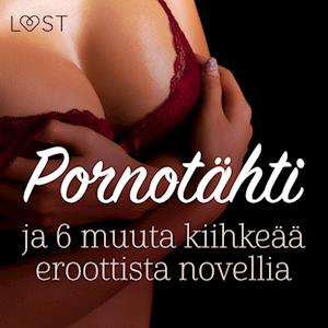 Pornotähti ja 6 muuta kiihkeää eroottista novellia