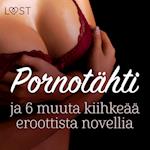 Pornotähti ja 6 muuta kiihkeää eroottista novellia