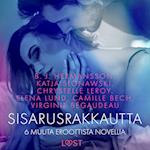 Sisarusrakkautta - 6 muuta eroottista novellia