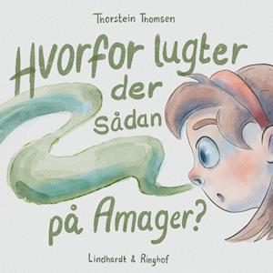 Hvorfor lugter der sådan på Amager?