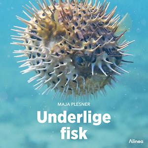 Underlige fisk, Grøn Fagklub