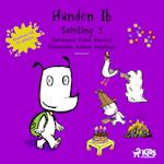 Hunden Ib - Samling 5