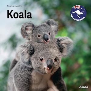 Koala, Grøn Fagklub