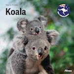 Koala, Grøn Fagklub