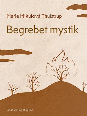 Begrebet mystik