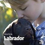 Labrador, Grøn Fagklub