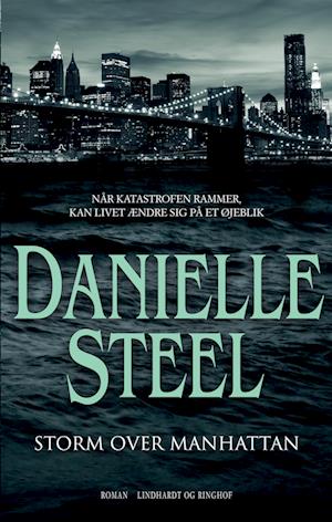 Storm over Manhattan-Danielle Steel-Bog