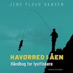 Havørred i åen. Håndbog for lystfiskere