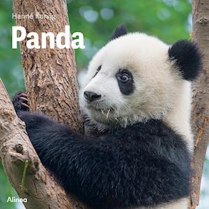 Panda, Grøn Fagklub