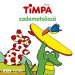 Timpa sademetsässä