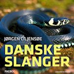 Danske slanger