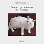 Lo que aprendemos de los gatos