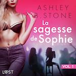 La sagesse de Sophie 1 - Une nouvelle érotique