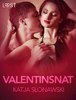 Valentinsnat – erotisk novelle