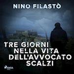 Tre giorni nella vita dell'avvocato Scalzi