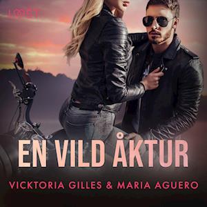 En vild åktur - erotisk romance