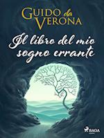 Il libro del mio sogno errante