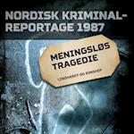 Meningsløs tragedie