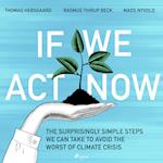 If We Act Now - the surprisingly simple steps we can take to avoid the worst of climate crisis