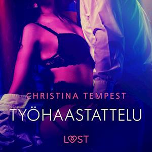 Työhaastattelu – eroottinen novelli