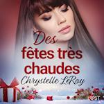 Des fêtes très chaudes - Une nouvelle érotique de Noël