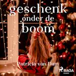 Geschenk onder de boom