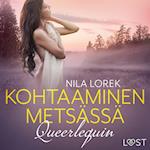 Queerlequin: Kohtaaminen metsässä