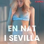 En nat i Sevilla - erotisk novelle