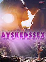 Avskedssex - erotiska noveller om förbjudna möten