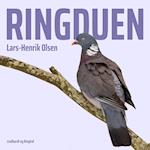 Ringduen