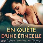 En quête d'une étincelle - Deux séries érotiques