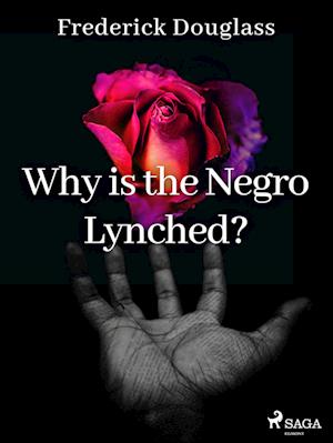 Why is the Negro Lynched?