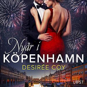 Nyår i Köpenhamn - erotisk romance