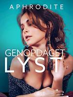 Genopdaget lyst – erotisk novelle