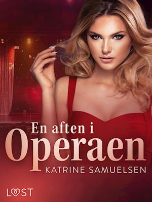 En aften i Operaen – erotisk novelle