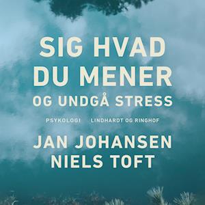 Sig hvad du mener - og undgå stress