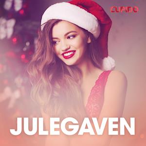 Julegaven - erotisk novelle