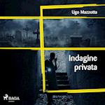 Indagine privata