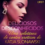 Deliciosos desconhecidos: Uma coletânea de contos eróticos de Katja Slonawski
