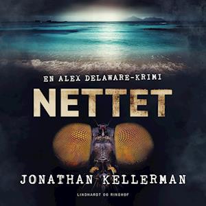 Nettet