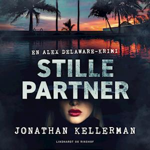 Stille partner