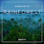Ambience - Rainforest